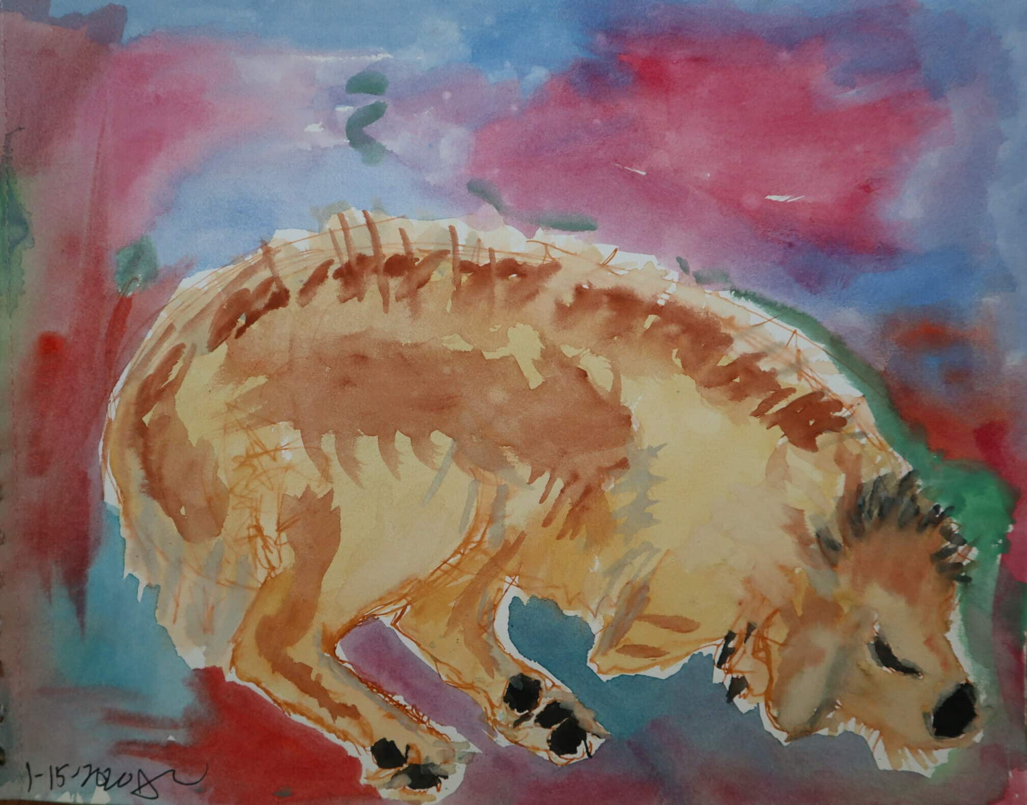 Anticipatory grief loss of pet