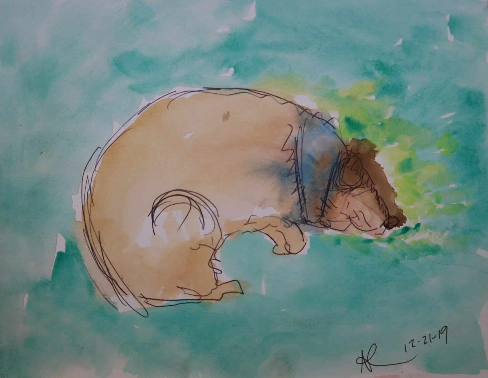 Anticipatory grief loss of pet