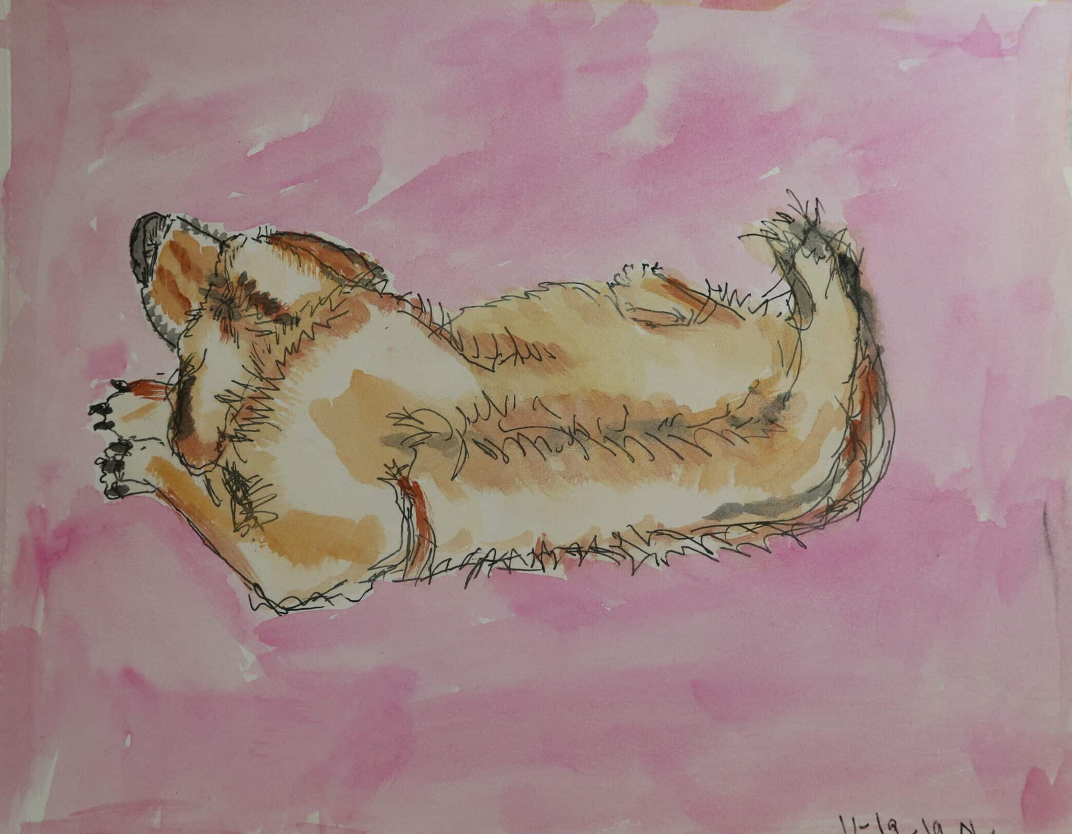 Anticipatory grief loss of pet