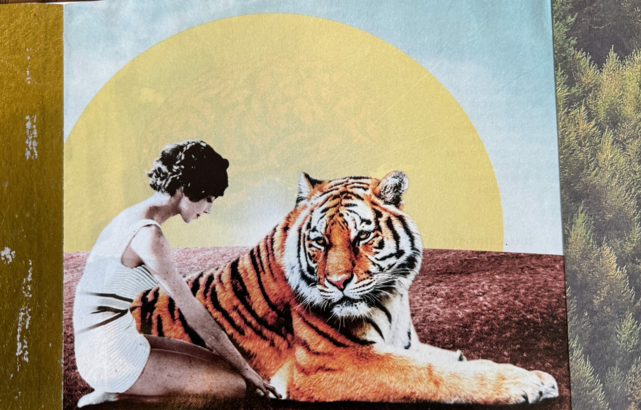 Soul Collage therapy  Image 