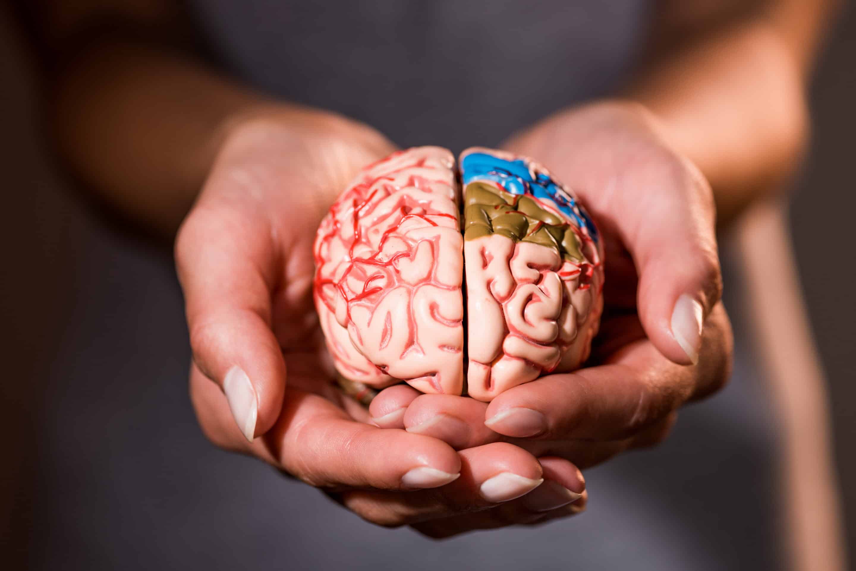 EMDR vs Brainspotting in your hands